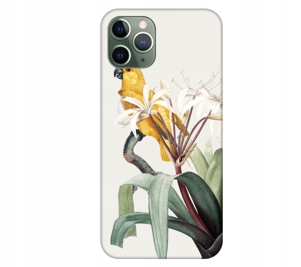 

Etui pokrowiec do iPhone 11 Pro Ptak papuga akware