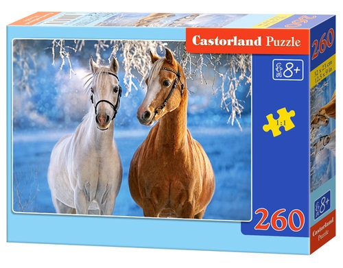 

Puzzle 260: The Winter Horses