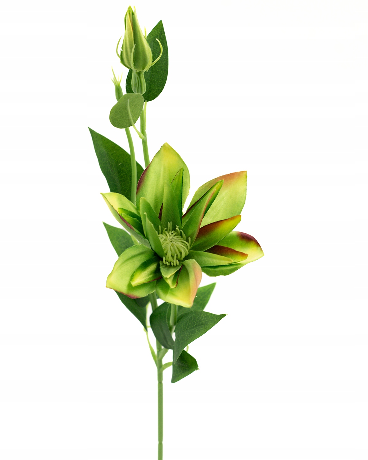 POWOJNIK SZTUCZNY GAŁĄZKA KLEMATIS DO WAZONU Typ inny