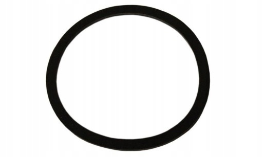 FILTR PALIWA WKŁAD PALIWOWY ZESTAW T-25 501117030 Numer katalogowy części 501117030