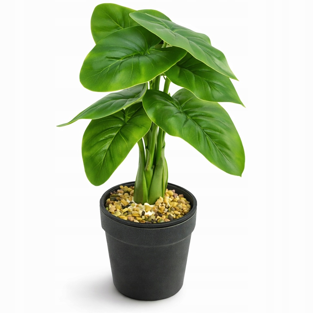 Skrytá kamera v květině WiFi Full Hd 1080p Odposlech Živý náhled Domov Kancelář