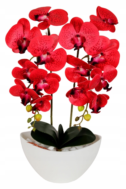 

Storczyk Sztuczny Orchidea Kwiaty Silikonowy