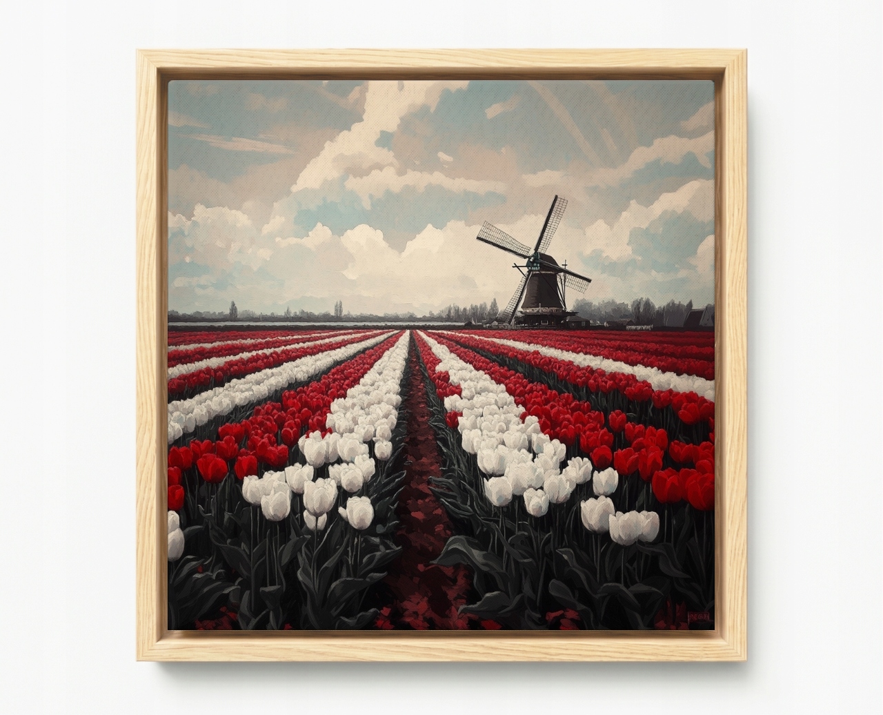 Obraz Rama American Box Tulipány Vetrak Holandsko Kvety Pole 60x60