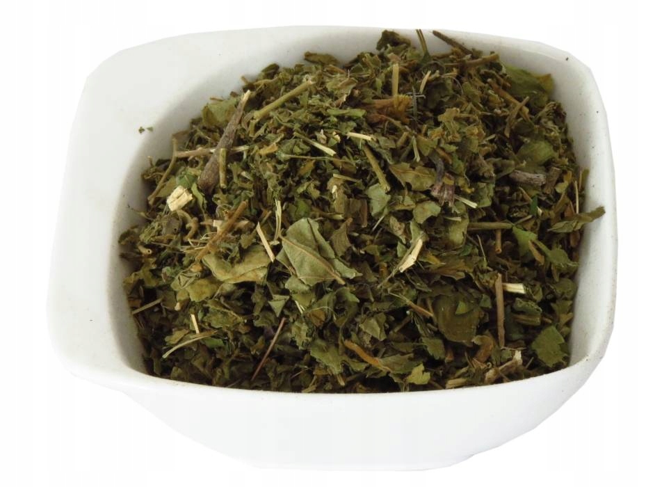 

Gurmar gymnemma sylvestre ziele 250g Dukatki