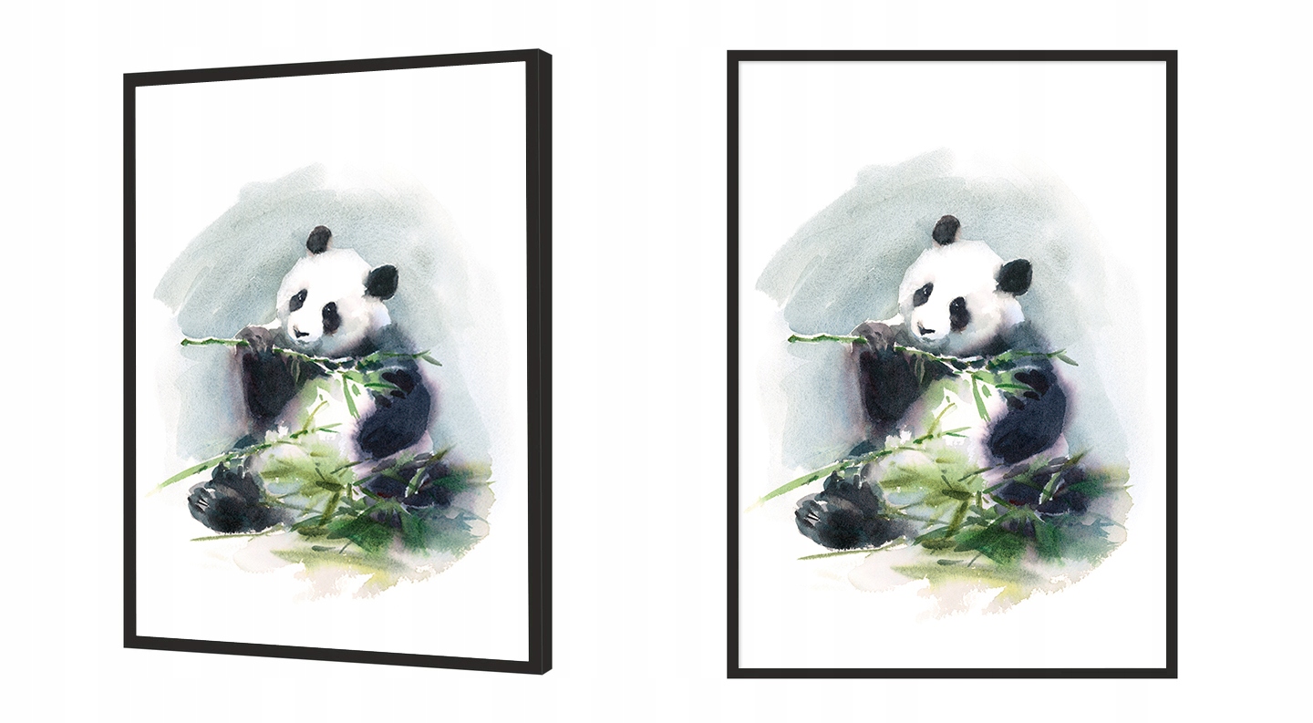 OBRAZ PLAKAT W RAMIE 33x43 cm Panda PD274 Marka inna