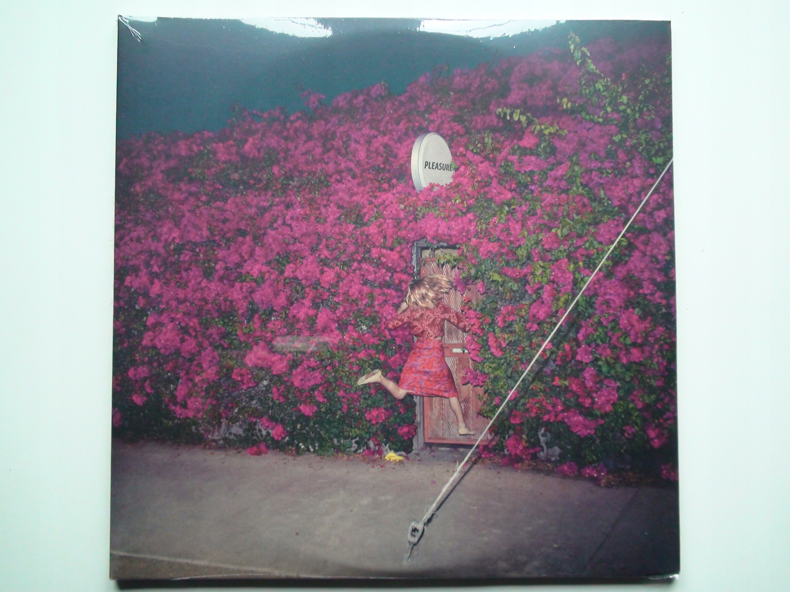 Feist Pleasure 2LP Folia Leslie Feist