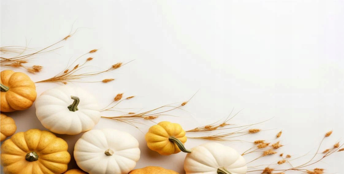 Magnetická krytka pro radiátory Podzimní dýně Maskovačka 60x100