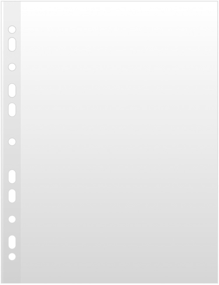 Koszulki groszkowe A4 Esselte 100 SZT obwoluty na dokumenty do segregatora