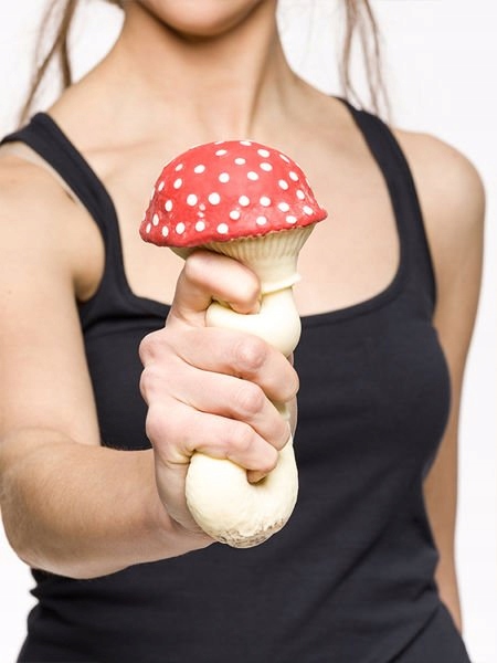 

Antystresowy grzyb Muchomor Gadżet