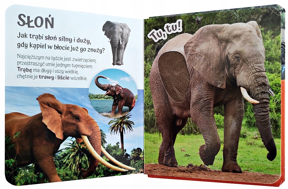 KSIĄŻECZKA KSIĄŻKA POGŁASZCZ ZWIERZĘTA ŚWIATA Wiek dziecka 3 lata +