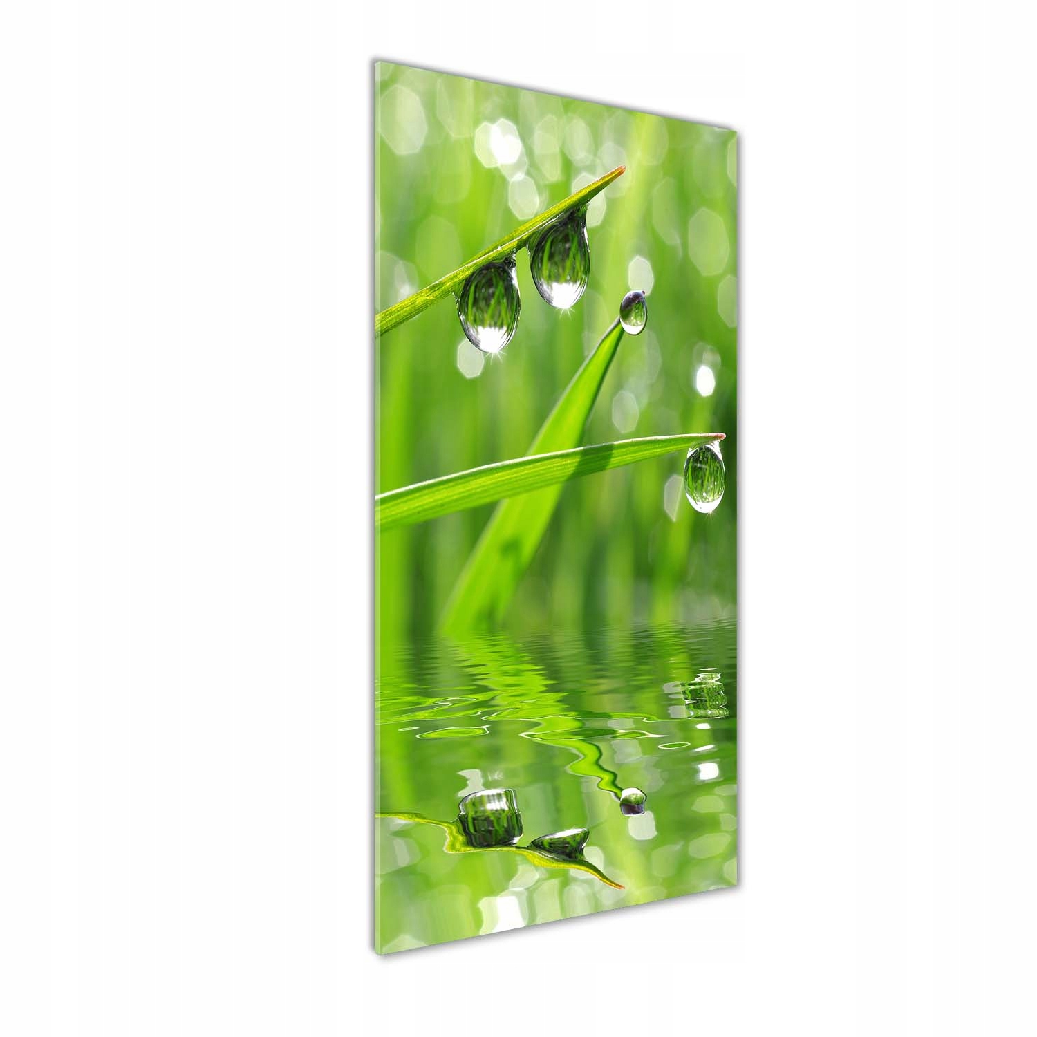 

Nowoczesny fotoobraz akrylowy Źdźbła trawy 50x125
