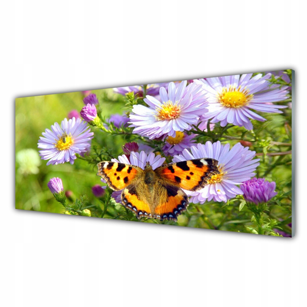 

Obraz akrylowy 125x50 Kwiaty Motyl Roślina Natura