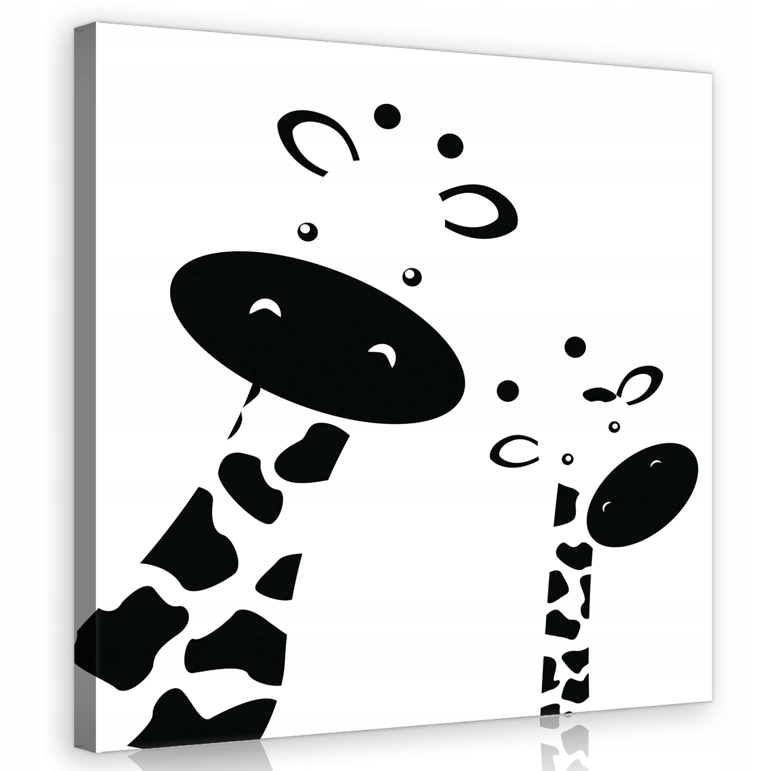 Obraz 80x80 Žirafy tele maminka láska černobílé minimalismus pokoj