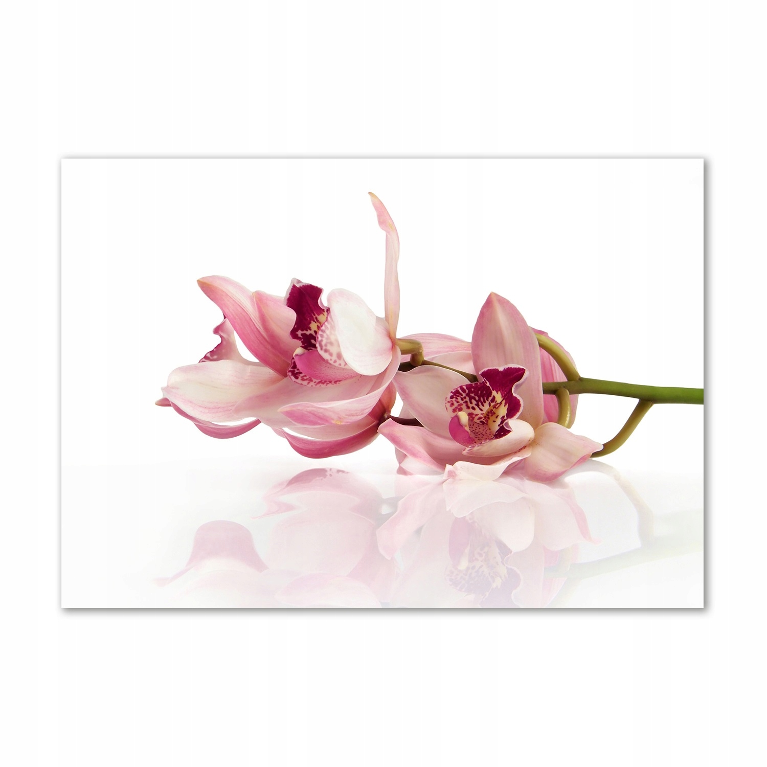 

Obraz zdjęcie na ścianę akryl Orchidea 100x70 cm