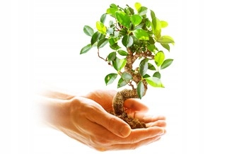 PIEKARNIK AMICA ED37619W X-TYPE 56918 Model ED37619W X-TYPE