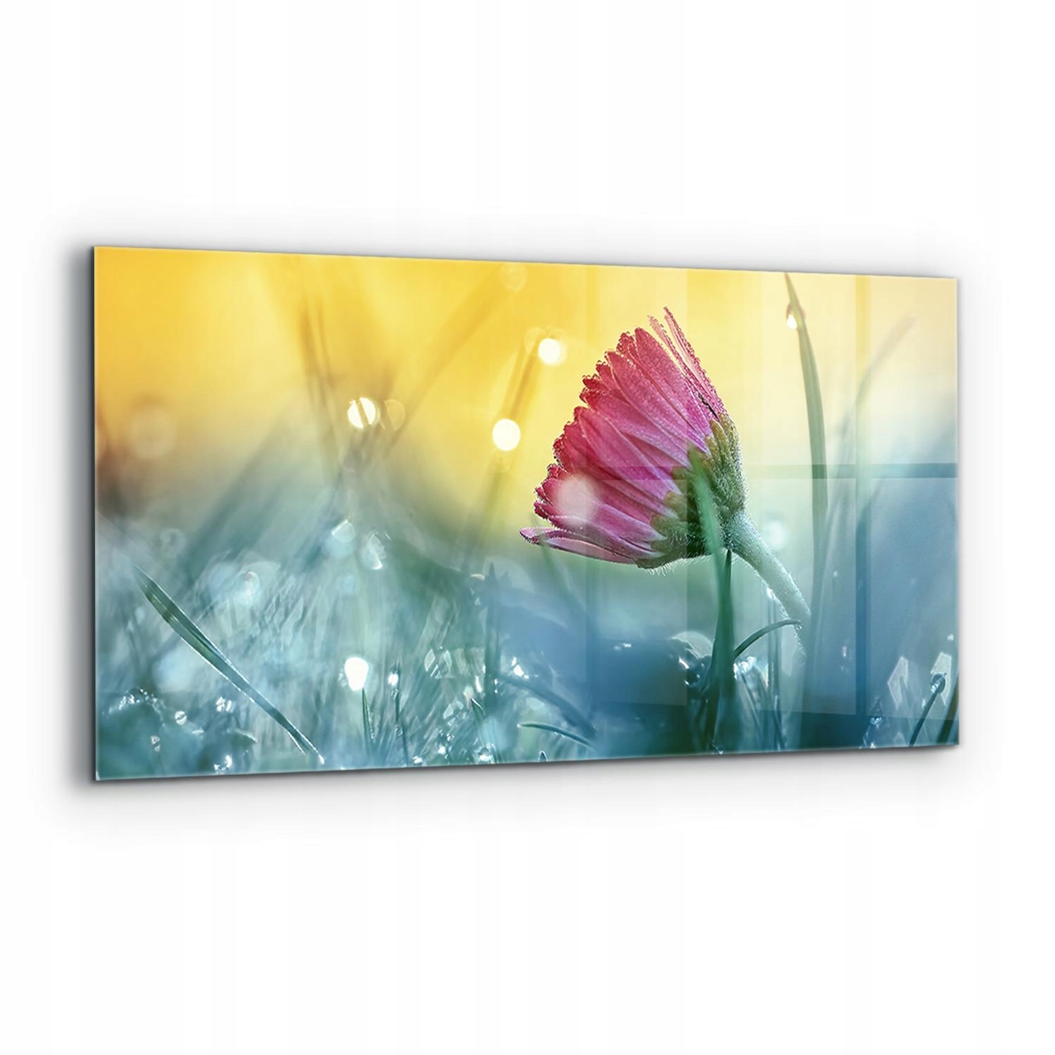 Panel lepidlo Jemná sedmokráska na lúke 120 x 60 cm