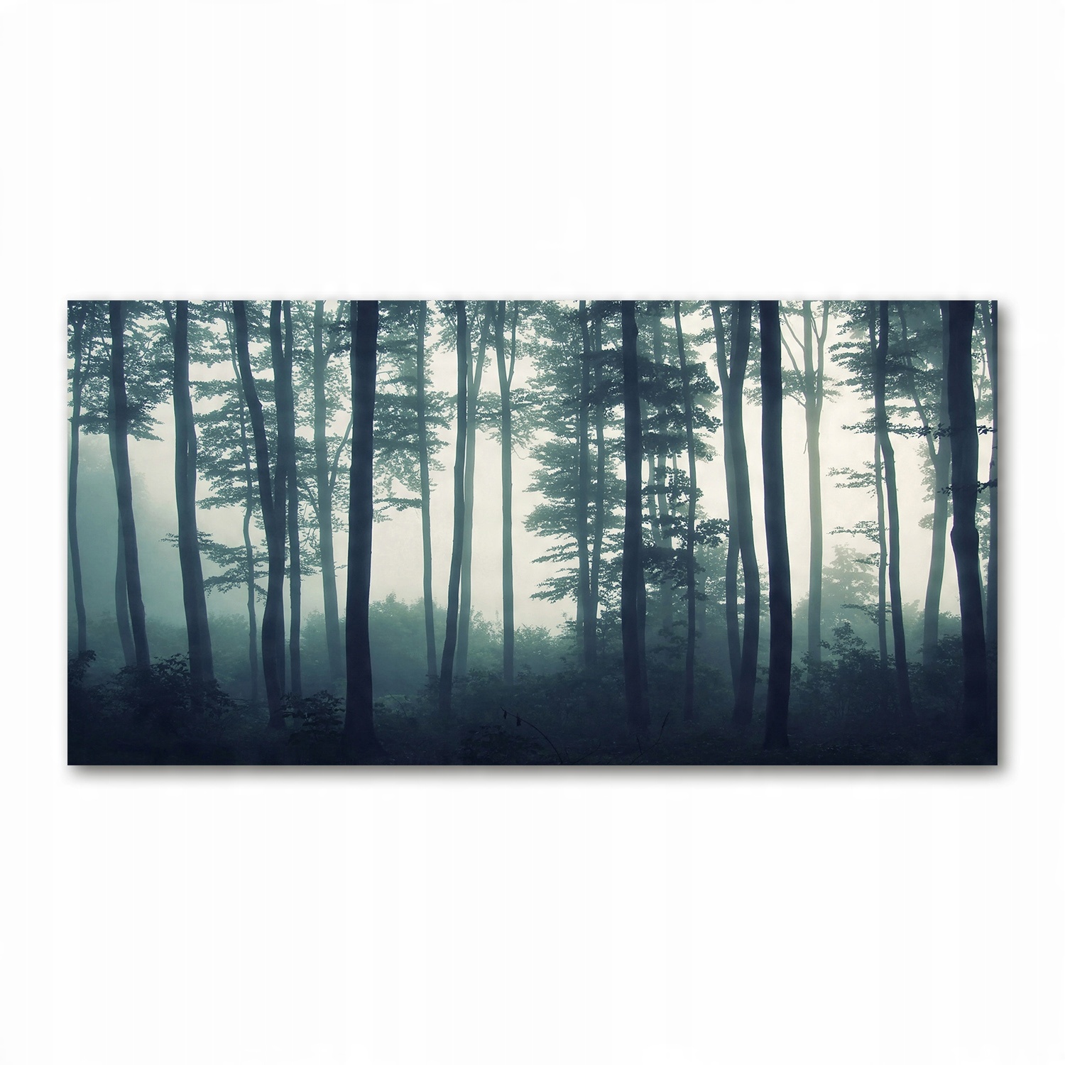 

Foto obraz szkło hartowane Las we mgle 140x70
