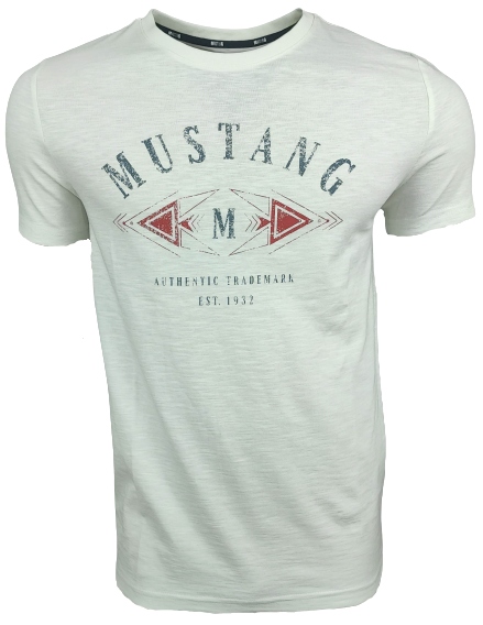 

Mustang Koszulka T-shirt Męska Aaron C Print R M