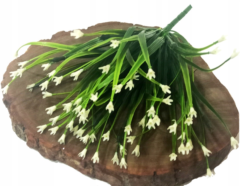 

Niezapominajka Biała Bukiet 7/35 cm