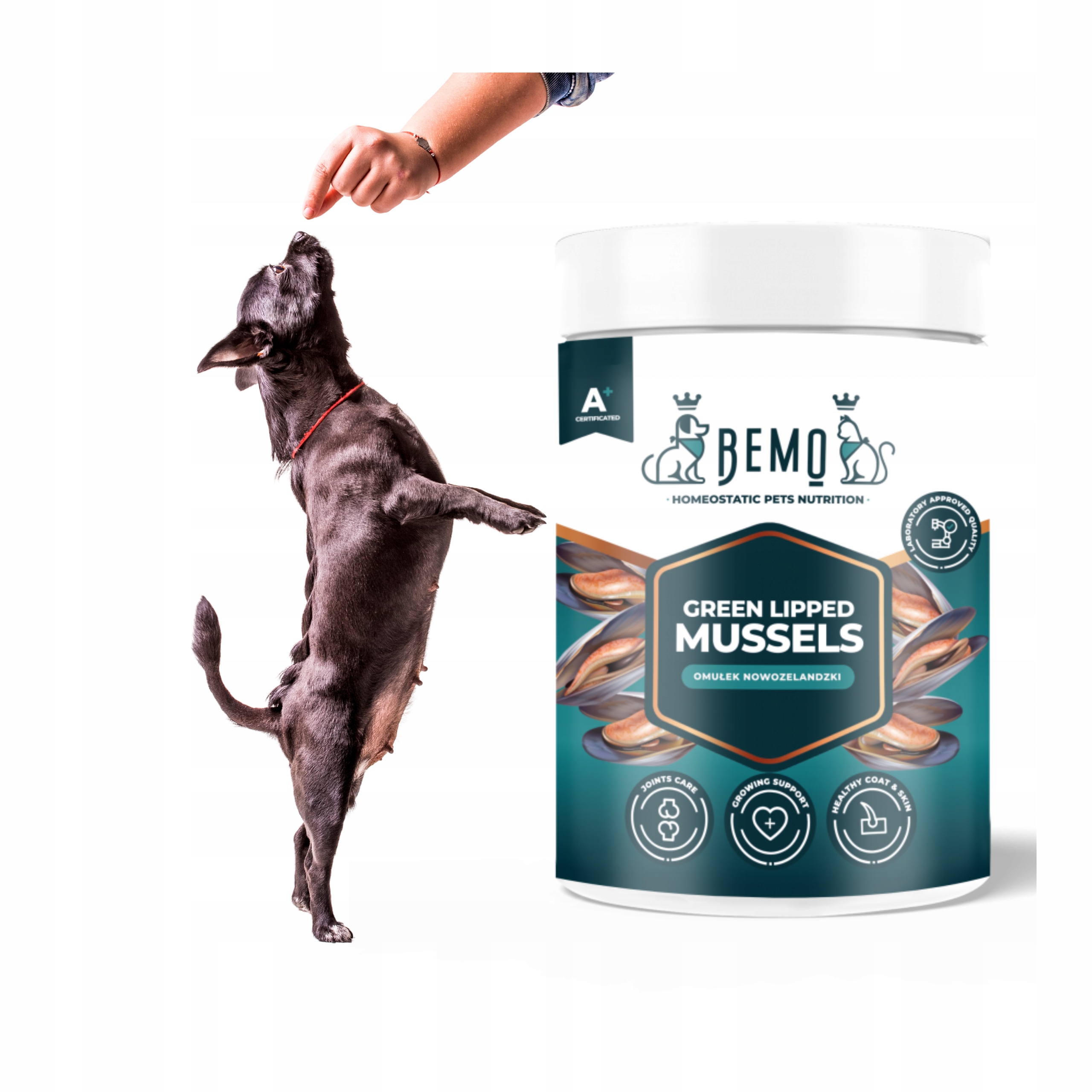 Levně Doplněk pro psa Bemo Green Lipped 130 g novozélandská mušle na klouby