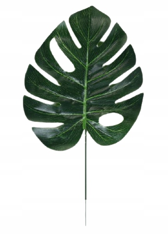 

Zielony Liść Monstera Sztuczny Ślub Dekoracje