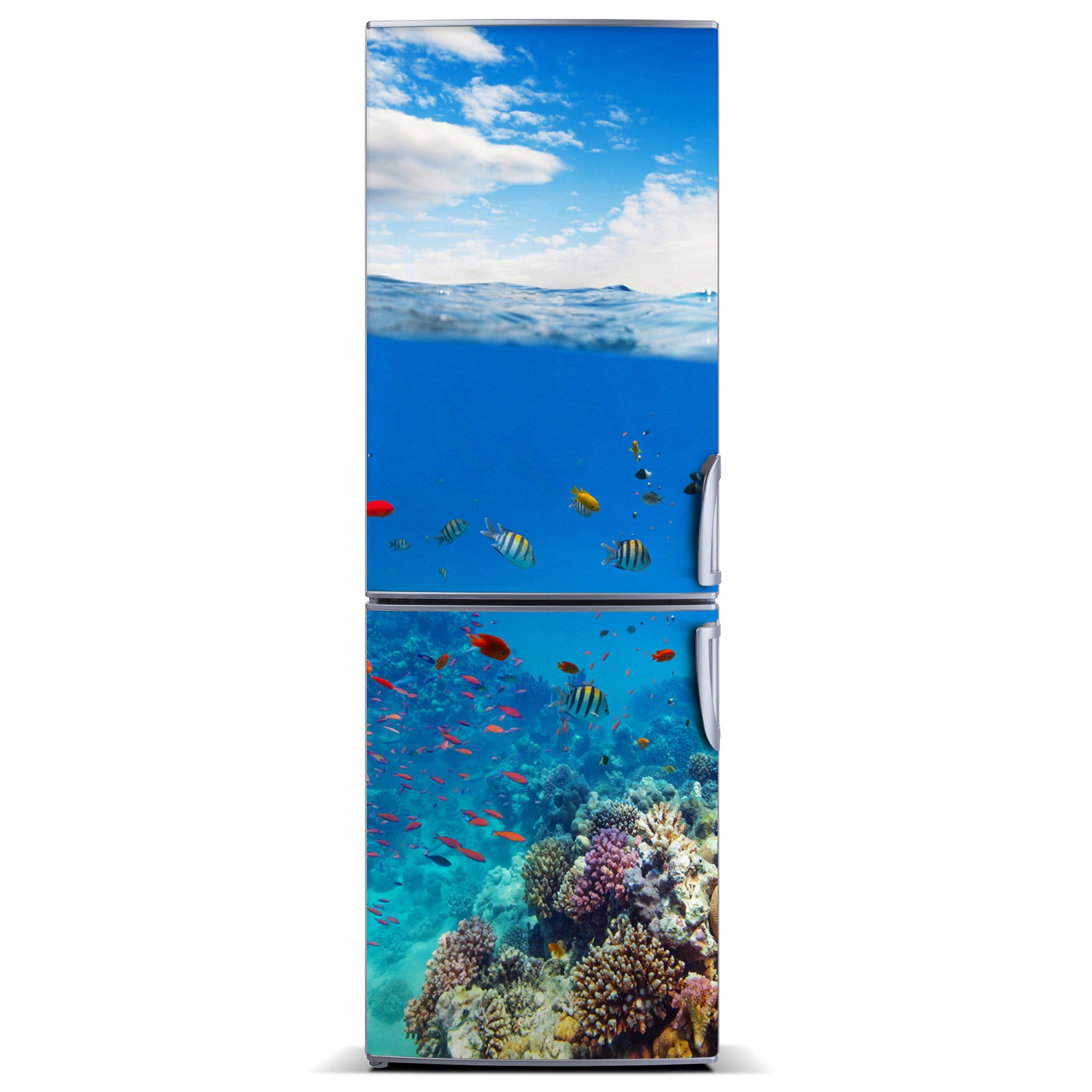 

Magnes Tapeta na lodówkę Rafa koralowa 60x180