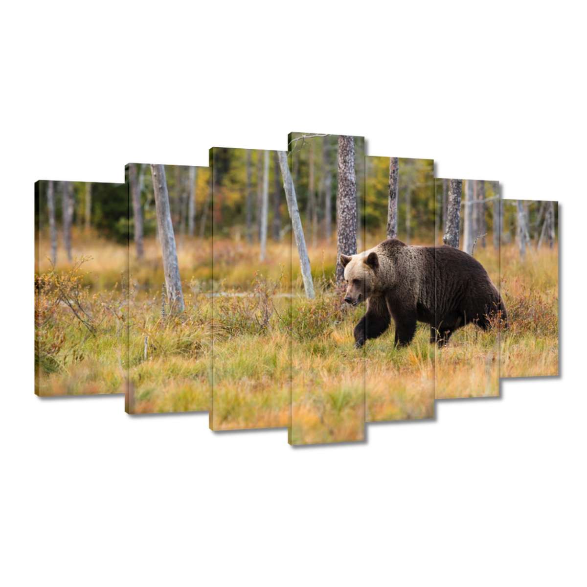 Obrazy 140x80 Zvířata Zvířátka