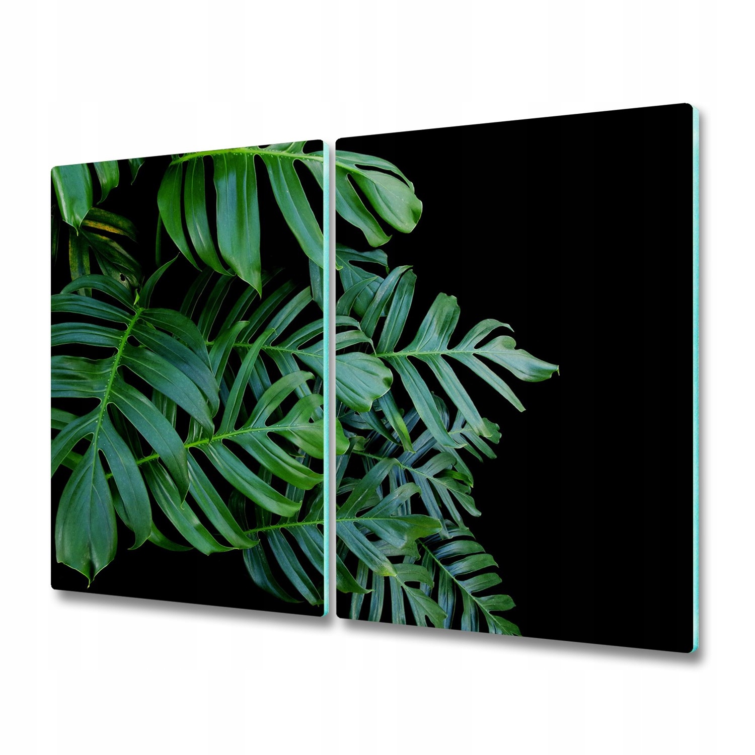 

Płyta ochronna na indukcję Monstera 2x30x52