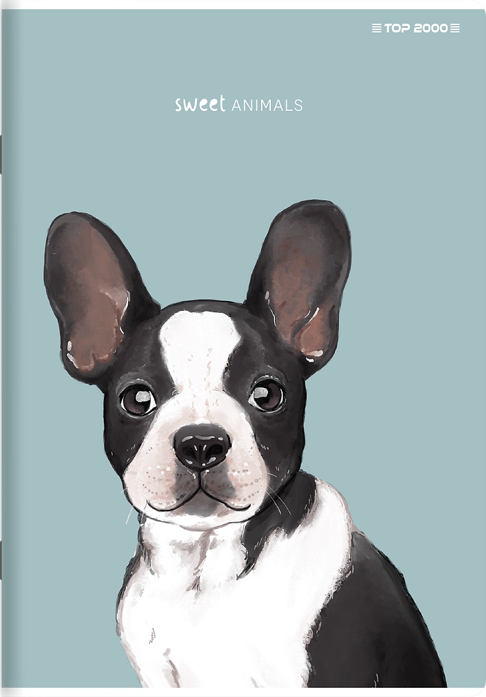 ZESZYT DO SŁÓWEK TOP 2000 SWEET ANIMAL A6 16 KARTEK KRATKA MIKS WZORÓW Stan opakowania oryginalne