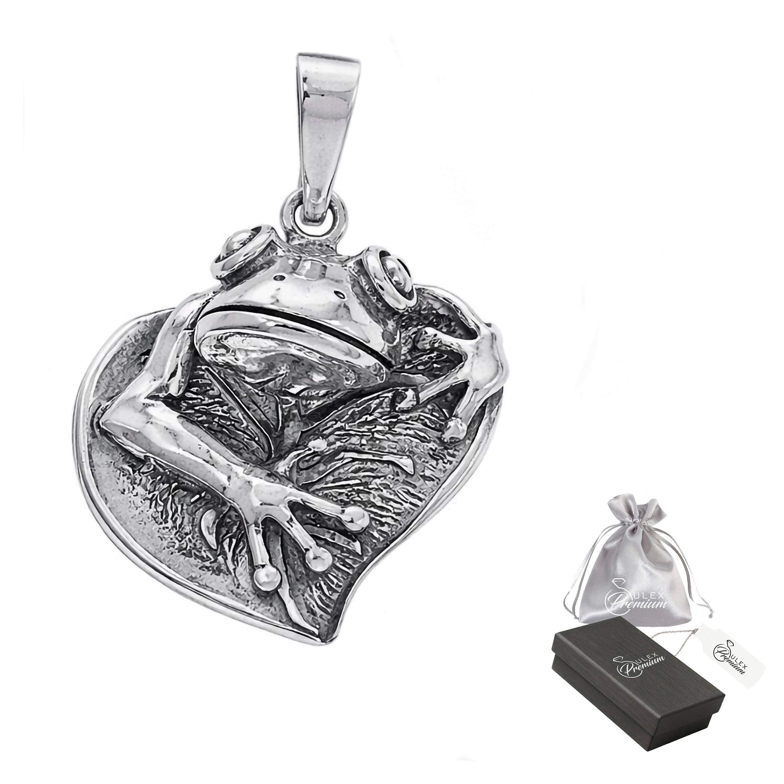 Stříbrný přívěsek ryzost 925 Elegantní Přívěsek Oxidovaná žába na listu