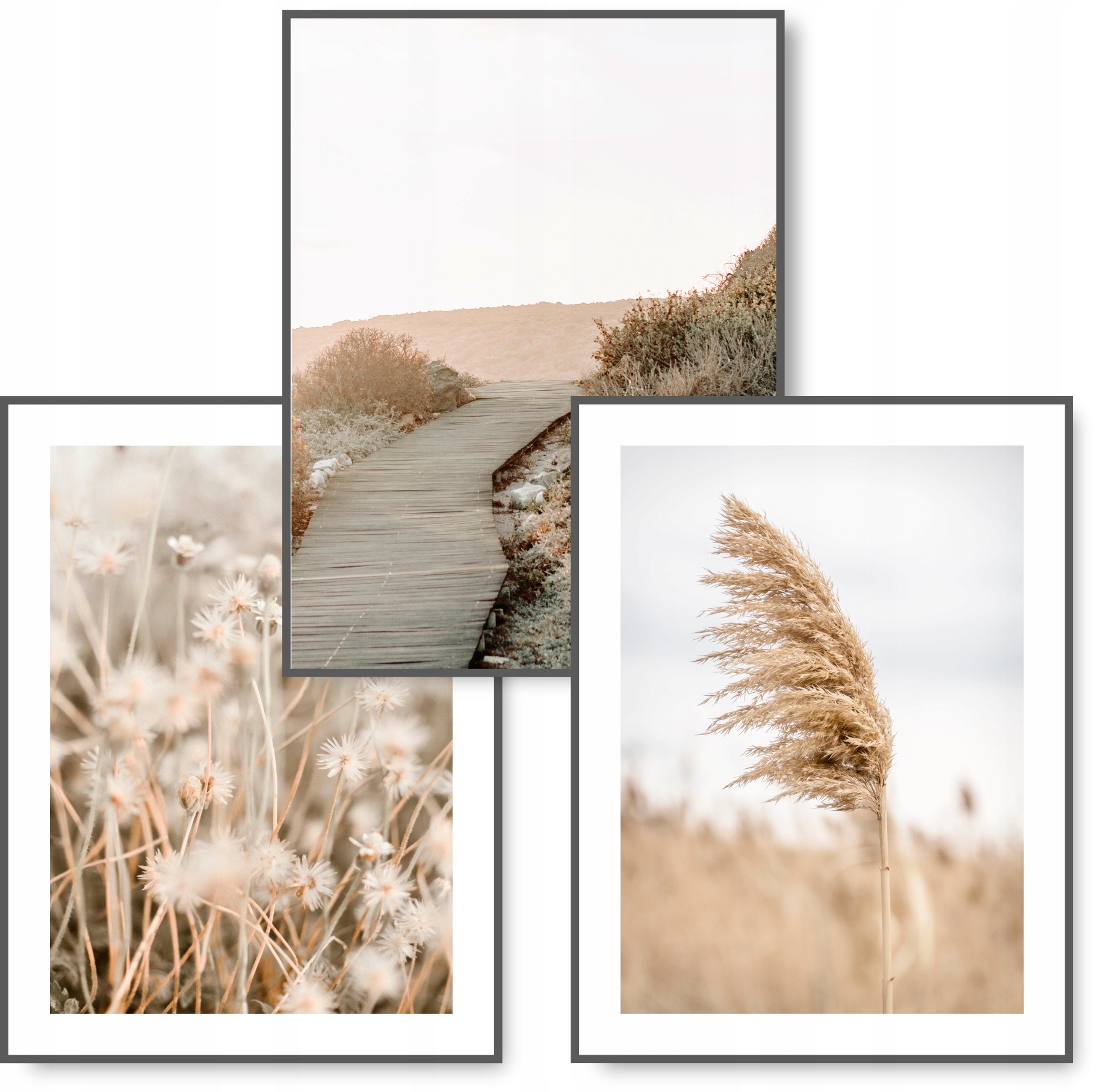 

Boho zestaw 3 obrazy 30x40 Natura Trawa plakat #13