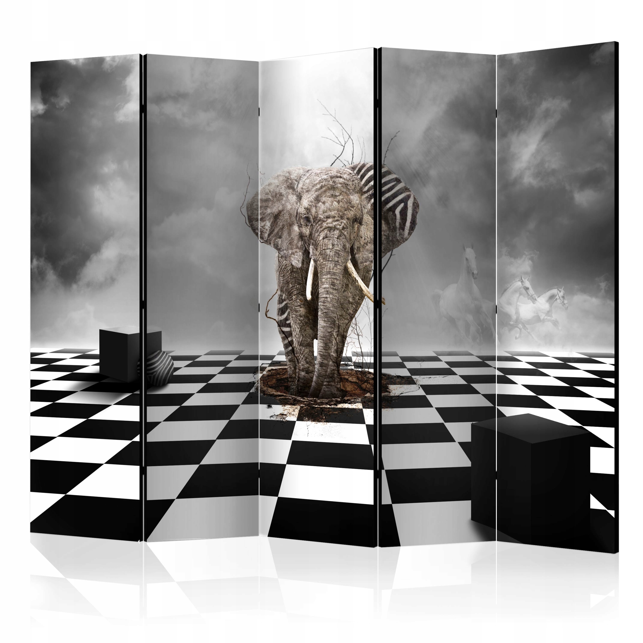 Dekorační Paraván Oboustranný g-C-0171-z-c