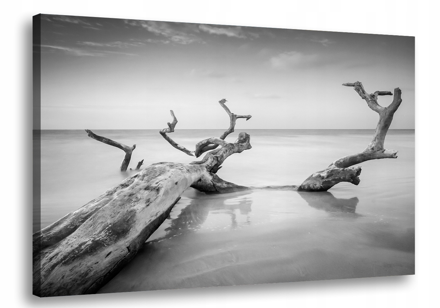 

Obraz na płótnie Czarno Białe Morze 73A-120x80cm