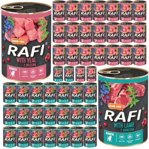 Dolina Noteci Rafi junior mix smaków 48x400g