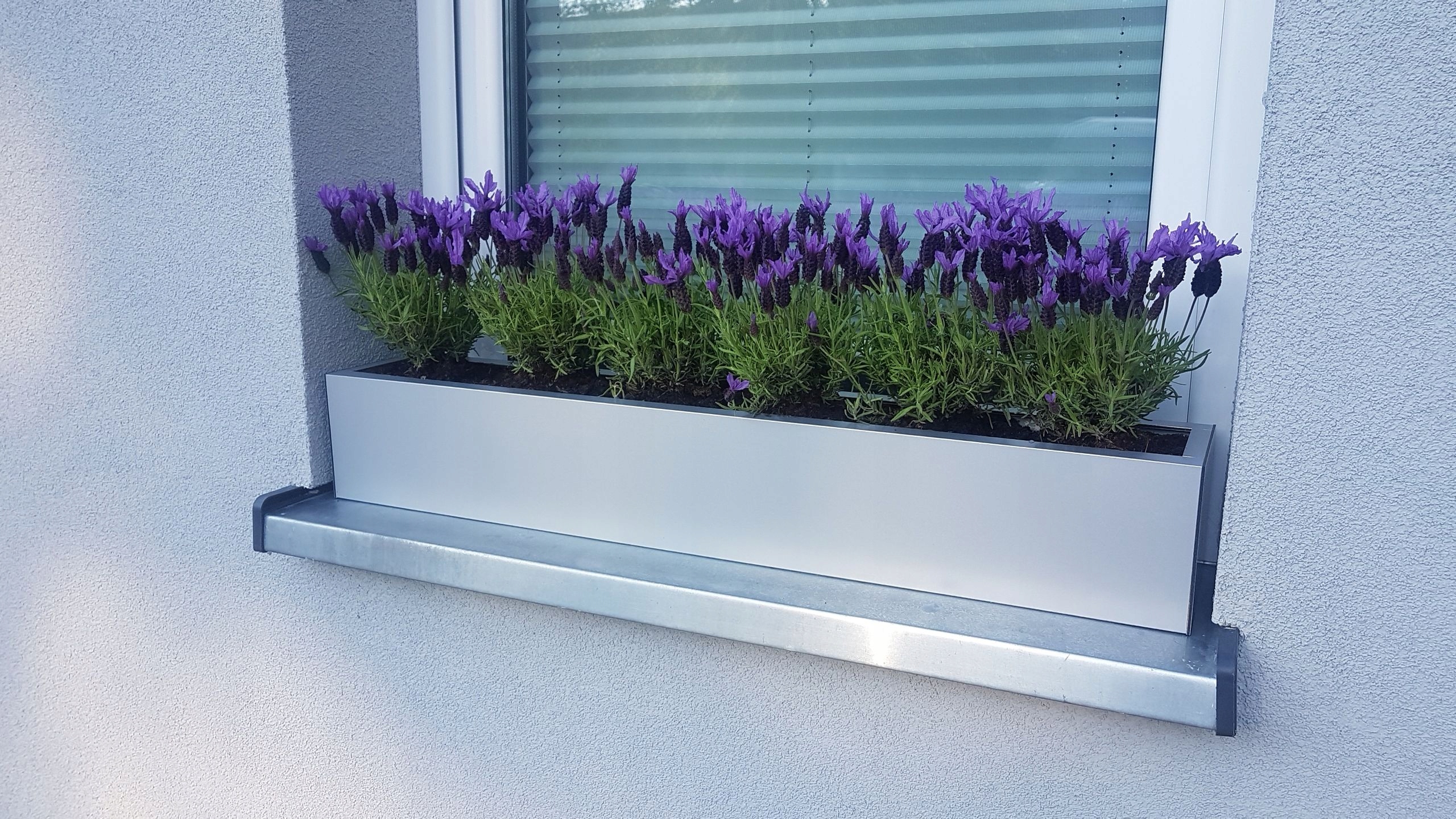 DONICZKA PROSTOKĄTNA, ALUMINIOWA NA WYMIAR 110 cm Kod producenta BOA Little Forest