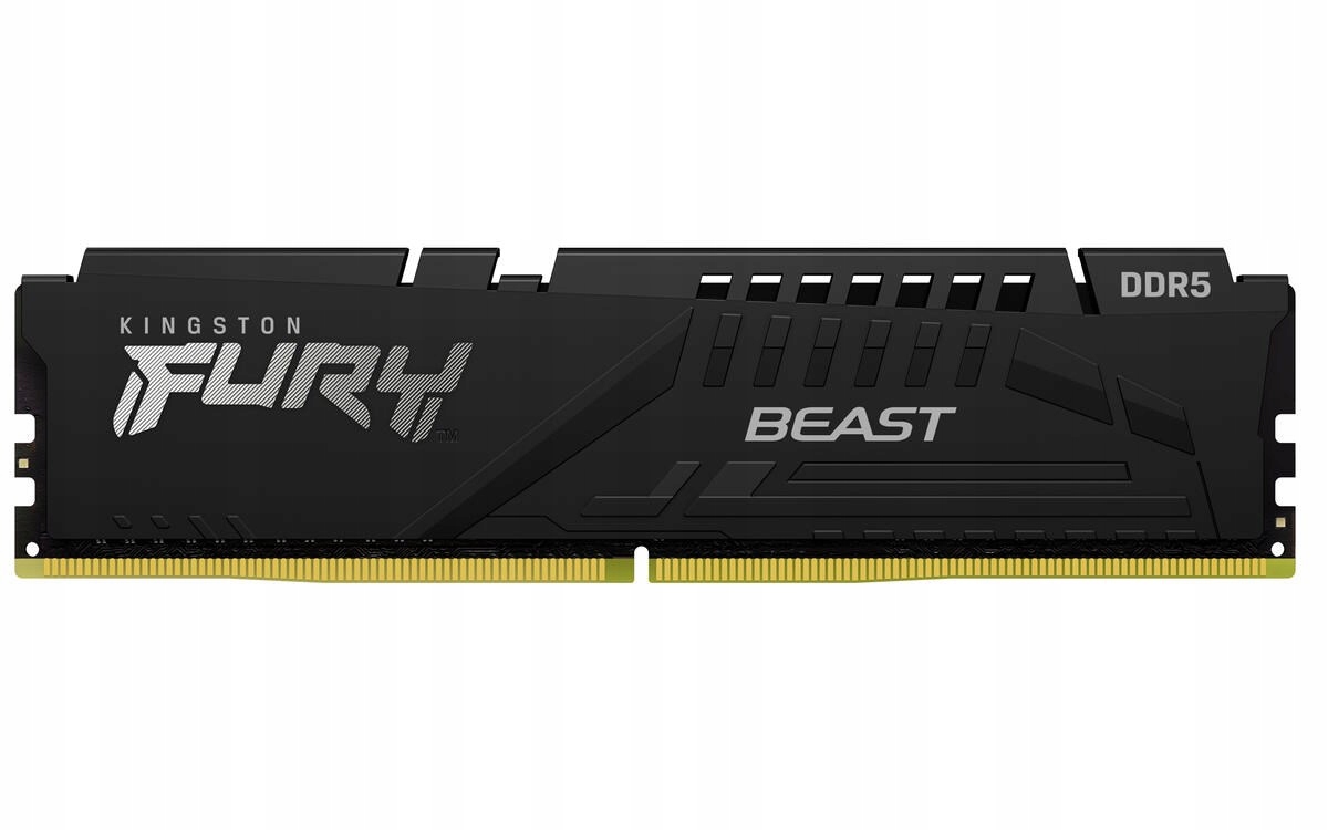 Kingston DIMM DDR5 8GB 6000MT/ s CL30 Ecc Fury Beast Expo Černá…