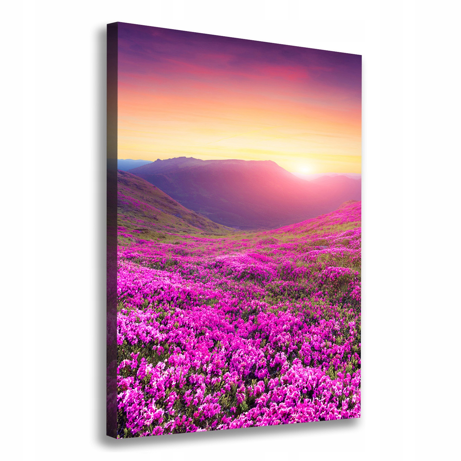 

Foto obraz na płótnie Góry rododendron 70x100 cm