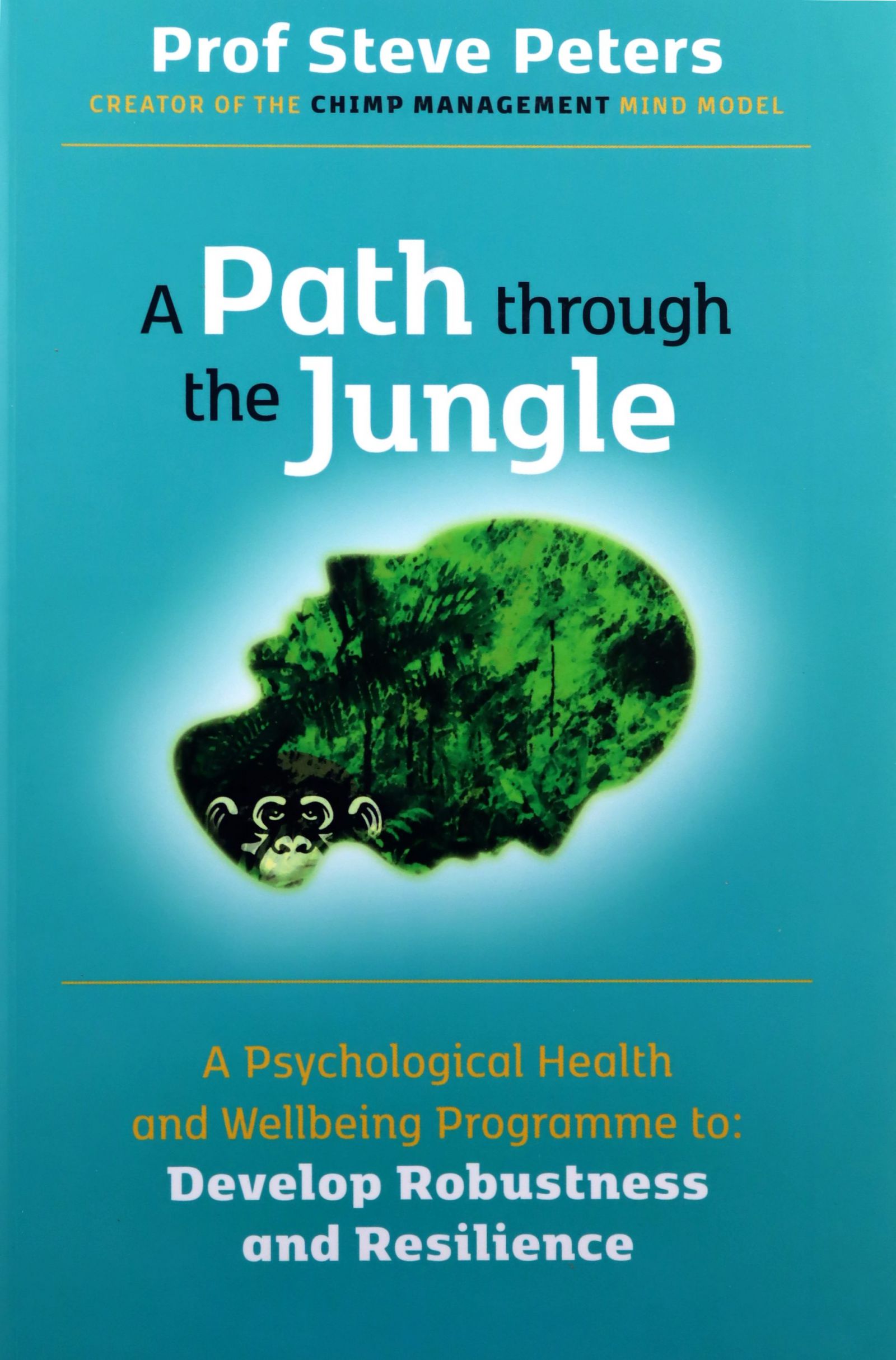 

A Path Through The Jungle: Psychological Health An
