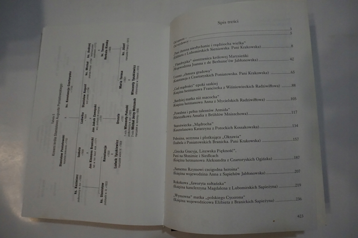 DAMY POLSKIE XVIII wieku EDWARD RUDZKI Rok wydania 1997