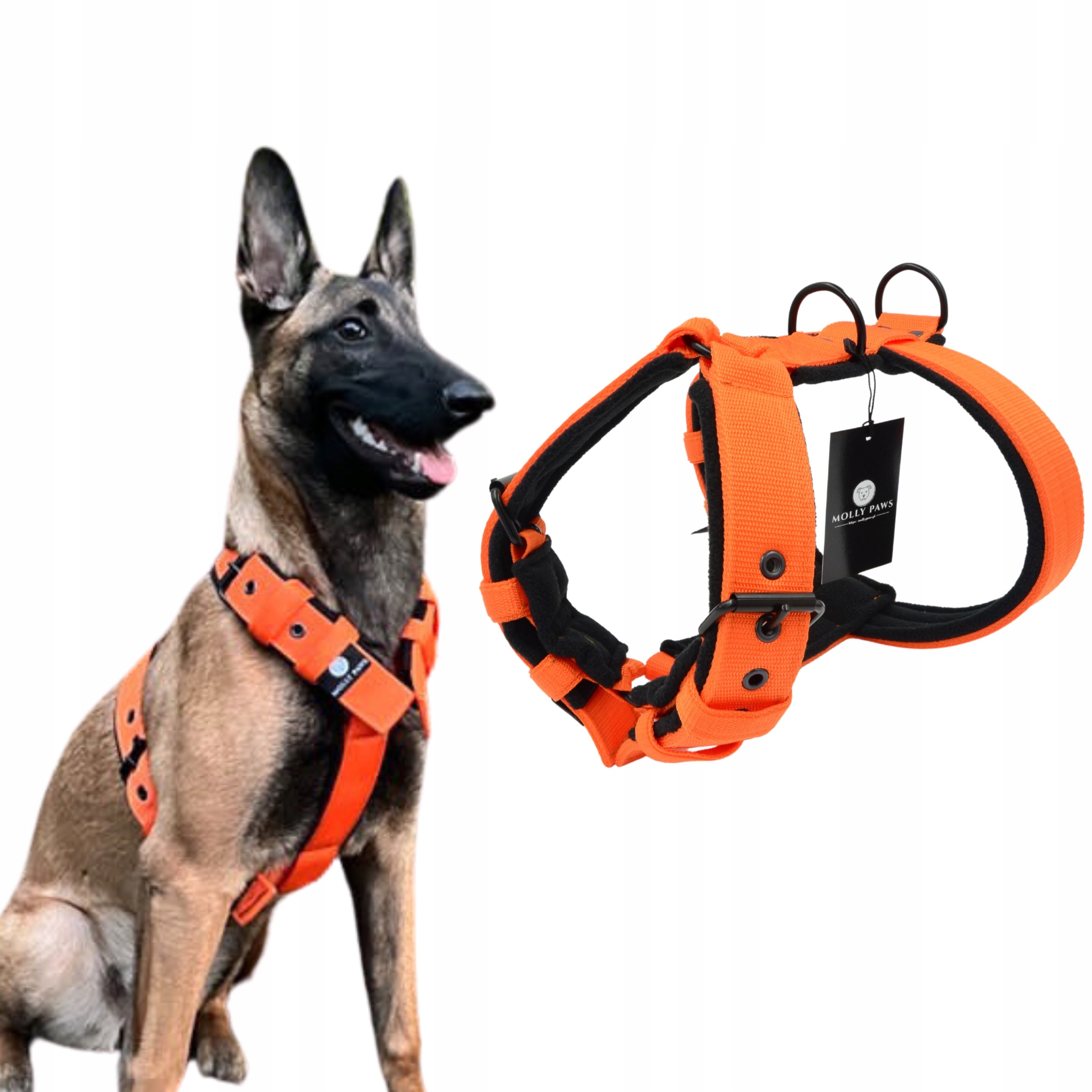 Levně Postroj pro velkého psa typu Guard Všechny velikosti a barvy