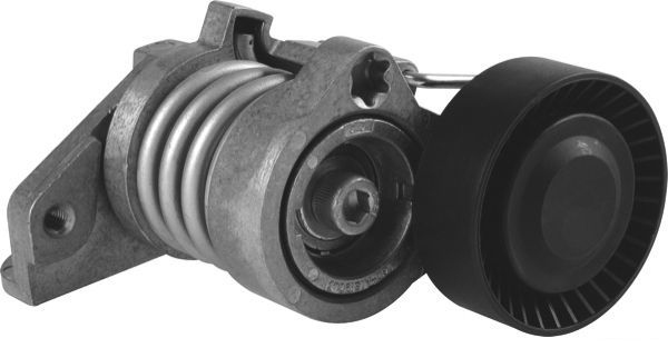 Натяжитель поликлинового ремня J1145079