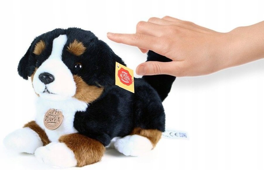 INTERAKTYWNY PIES OWCZAREK BERNEŃSKI MASKOTKA RUCH Rodzaj pieski