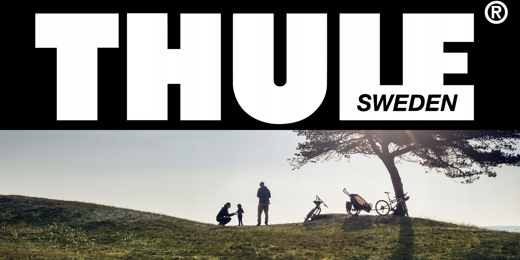 RideAlong Lite Dark Gray 100109 THULE Fotel Rower Model RideAlong