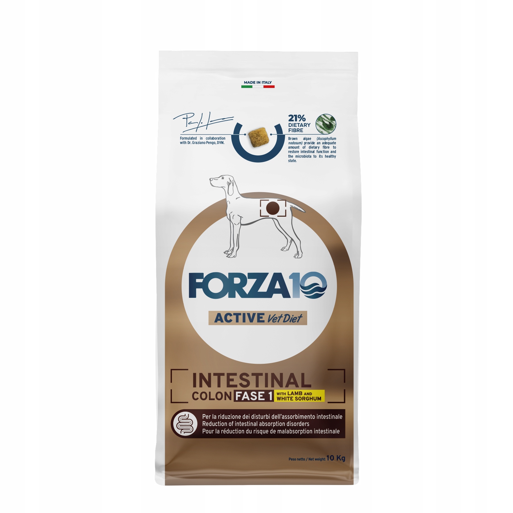 Forza10 Intestinal Colon Fase 1 pro psa s jehněčím masem 10 kg
