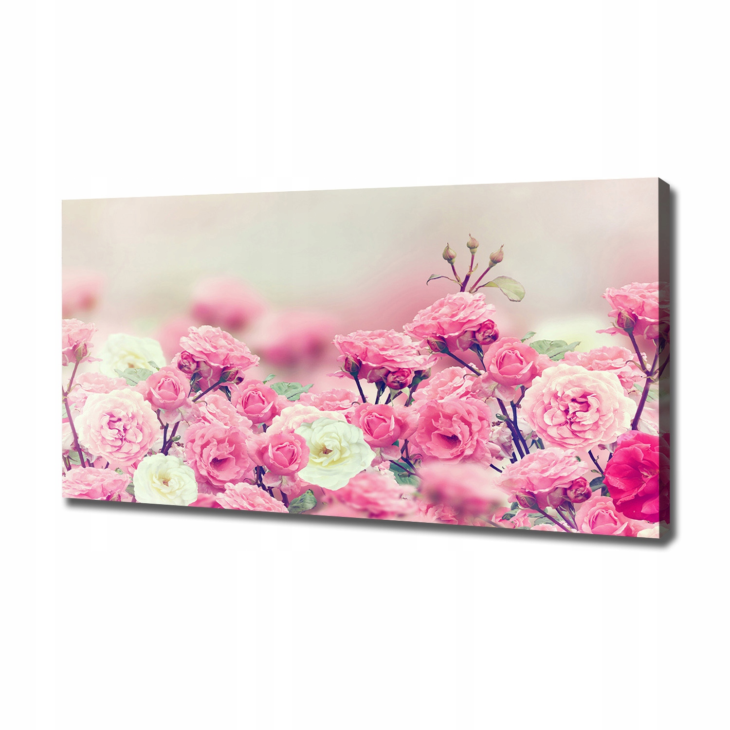 

Foto obraz na płótnie Kwiaty dzikiej róży 120x60cm
