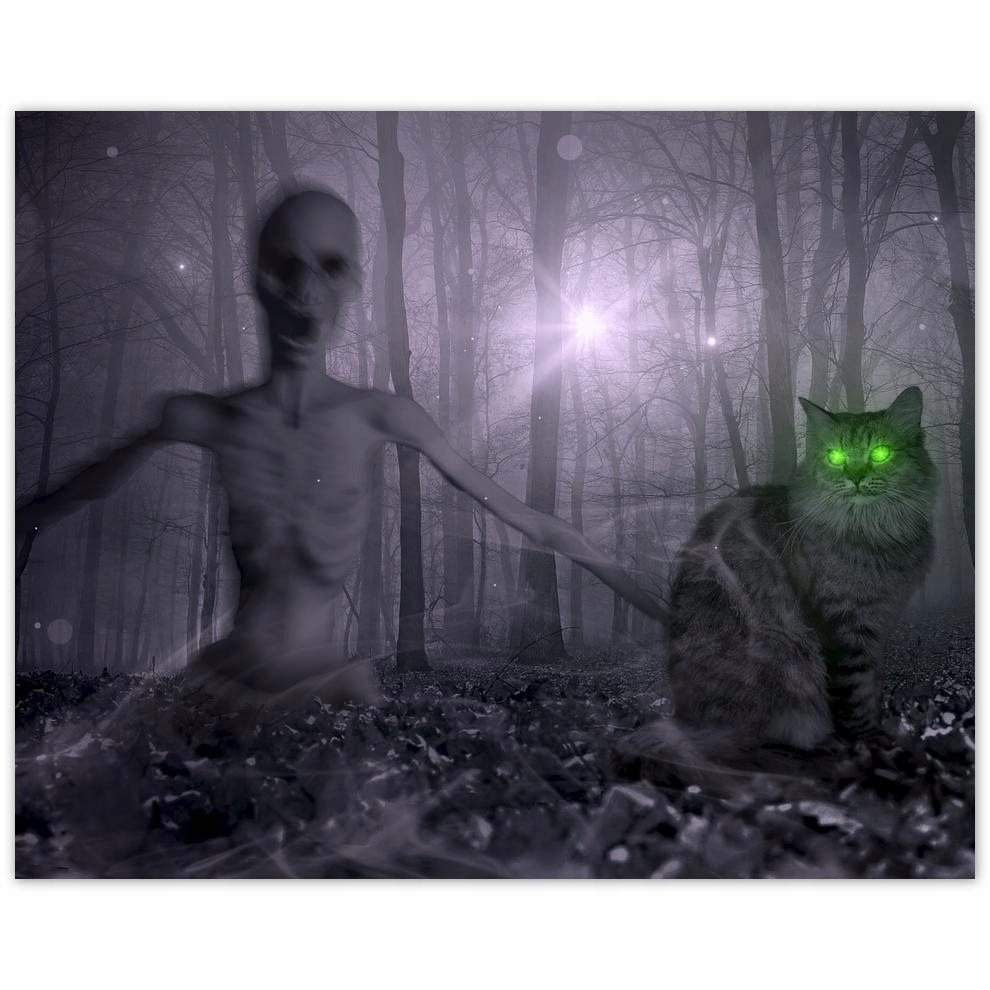 

Plakat 50x40 Kot Alien Limonka Koty