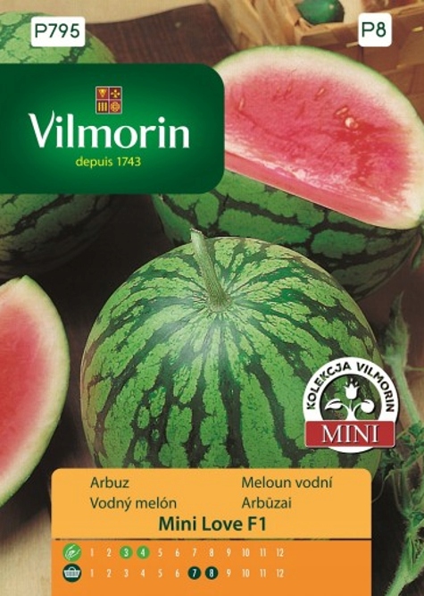 Arbuz Mini Love F1 nasiona 7szt Vilmorin