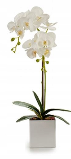 

Storczyk sztuczne kwiaty Orchidea 52 cm Hiszpania