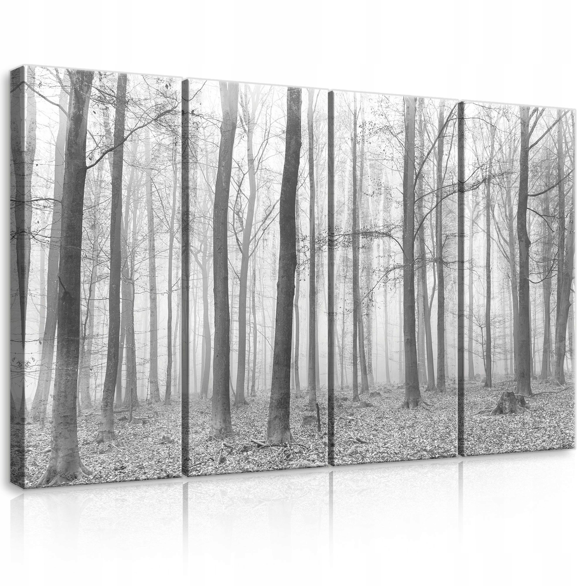 Obraz 120x80 Les v mlze monochromatická krajina, černobílé stromy, příroda