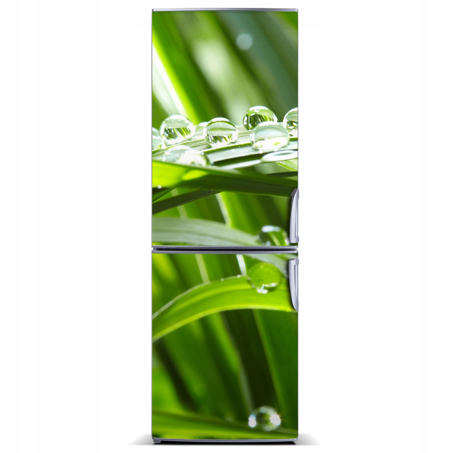 

Foto Magnes Tapeta na lodówkę Źdźbła trawy 60x180